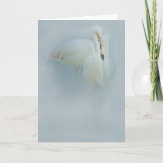 VAN DE FLAMINGO FANDANGO- WENSKAART KAART (Voorkant)