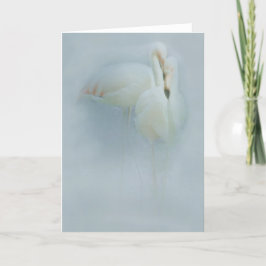 VAN DE FLAMINGO FANDANGO- WENSKAART KAART