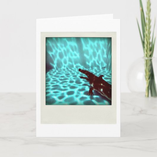 Van de flou 3d Computer van de Pool 07c04 van Kaart (Voorkant)