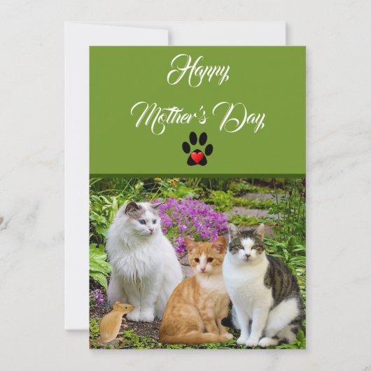 Van De Gelukkige Moederdag Van De Kat Plat Kaart (Voorkant)