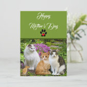 Van De Gelukkige Moederdag Van De Kat Plat Kaart (Staand voorkant)