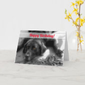 van de groep Birthday Labrador Dog Kaart (Gele Bloem)