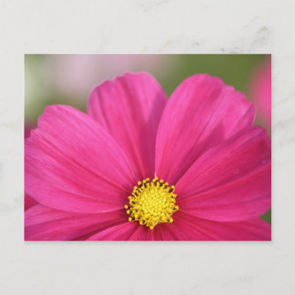 Van de helft van Schoonheid Briefkaart