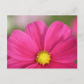 Van de helft van Schoonheid Briefkaart (Voorkant)