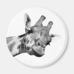Van de het oerwouddierentuin van de Giraffe de Magneet