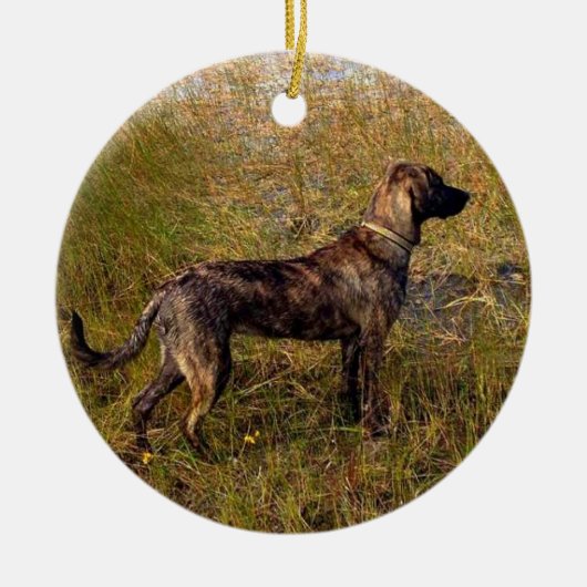 Van de hond aangepaste kerstboomversiering keramisch ornament (Voorkant)