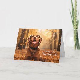 van de Hond Thanksgiving Hond in Herfstbladeren Feestdagen Kaart