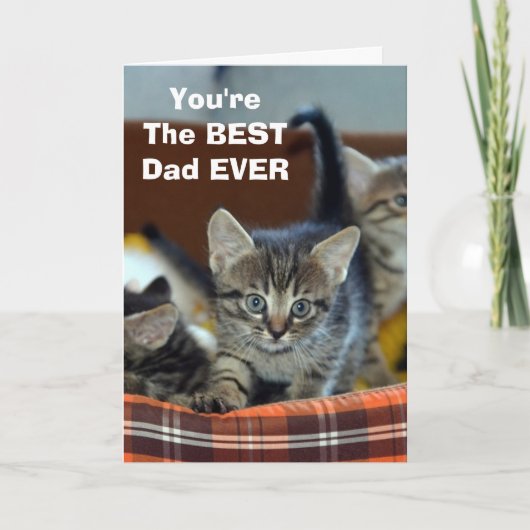 Van de kat BESTE vader verjaardagskaart Kaart (Voorkant)