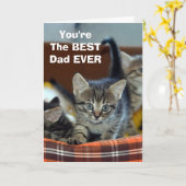 Van de kat BESTE vader verjaardagskaart Kaart (Gele Bloem)