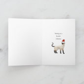 Van de kat, Kattig kerstfeest kat Feestdagen Kaart (Binnen)