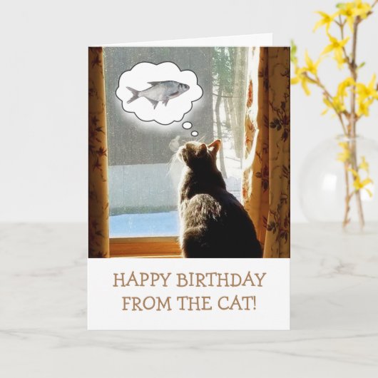 Van de kat met visdag kaart (Gele Bloem)