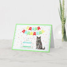 Van de kattenbakbanner en de Kaart van de Cake Bir