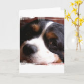 Van de koning het Cavalier Spaniel Wenskaart van Kaart (Gele Bloem)