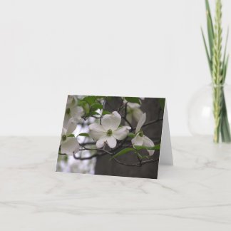 Van de kornoelje (Cornus Florida) de kaart