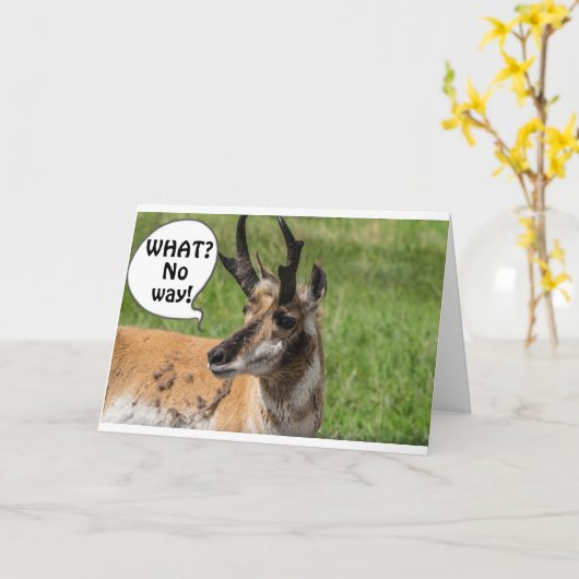 VAN DE KUDDE GEHOORD DAT JE **40** WOW BENT KAART (Gele Bloem)