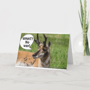 VAN DE KUDDE GEHOORD DAT JE **50** WOW BENT KAART