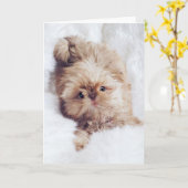 Van de leverShih Tzu van de stuiver de oranje Kaart (Gele Bloem)