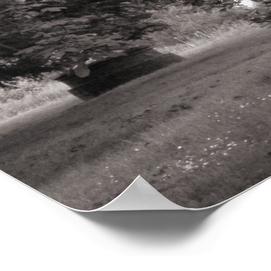 Van de Magnolia Trees - Warm BW Poster (Hoek)