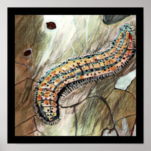 🐛 van de oostelijke witte 🦋 poster