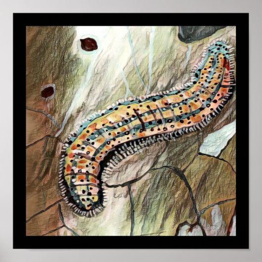 🐛 van de oostelijke witte 🦋 poster (Voorkant)