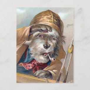 Van de "oude van het Zee Hond" de Vintage Briefkaart