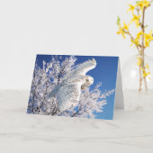 Van de "sneeuwUil" het Wenskaart Kaart (Gele Bloem)