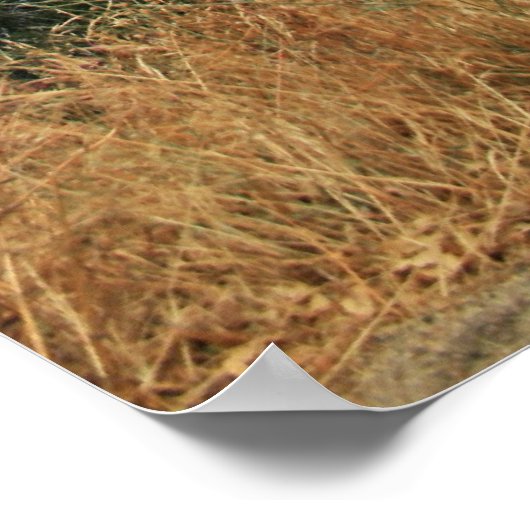 Van de weg naar Kings Canyon Poster (Hoek)