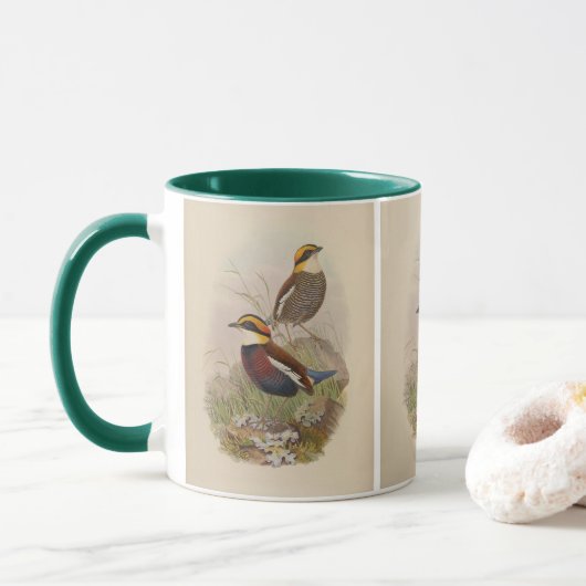 Van der Bosch's Pitta door John Gould Mok (Met donut)