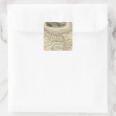 Van Diemens eiland of Tasmania Vierkante Sticker (Tas)