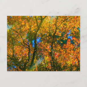 Van Dusen Botanical Garden Vancouver, Canada Briefkaart