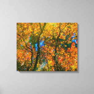 Van Dusen Botanical Garden Vancouver, Canada Canvas Afdruk