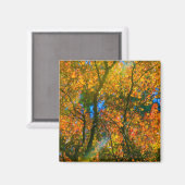 Van Dusen Botanical Garden Vancouver, Canada Magneet (Voorkant / Achterkant)