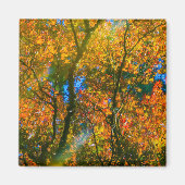 Van Dusen Botanical Garden Vancouver, Canada Magneet (Voorkant)