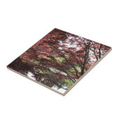 Van Dusen Garden, Japanse Maple Tegeltje (Zijkant)