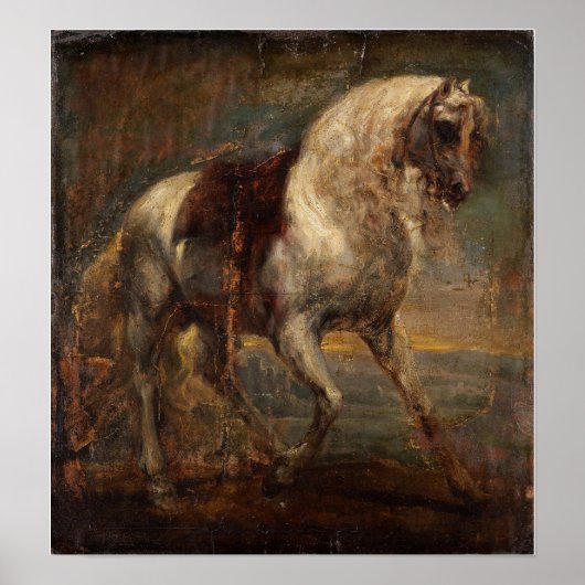 Van Dyck - Een grijze paard Poster (Voorkant)