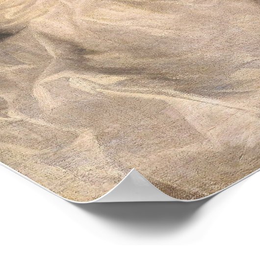 Van Dyck - Lady Digby op haar sterfbed Poster (Hoek)