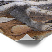 Van Dyck - Martyrdom Saint Lawrence Poster (Hoek)