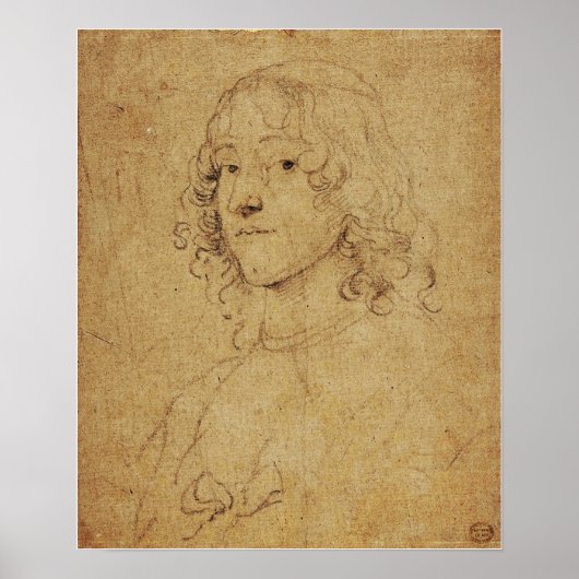 Van Dyck - Portrait Study Poster (Voorkant)