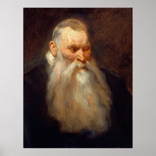 Van Dyck - Studie van het hoofd van een oude man m Poster (Voorkant)