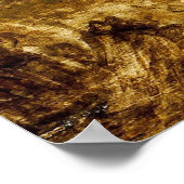 Van Dyck - twee Nymphs jaagster Poster (Hoek)