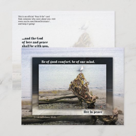 Van één achterhoofd briefkaart (Voorkant / Achterkant)