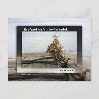 Van één achterhoofd briefkaart