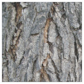 Van een boom stof (Close Up)