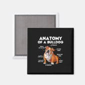 van een buldog magneet (Voorkant / Achterkant)