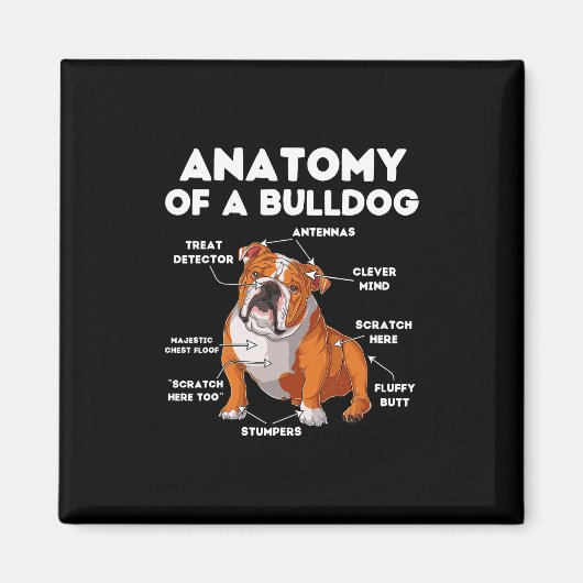 van een buldog magneet (Voorkant)