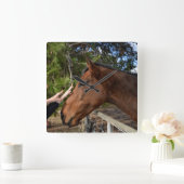 Van een grote bruine paard, vierkante klok (Huis)