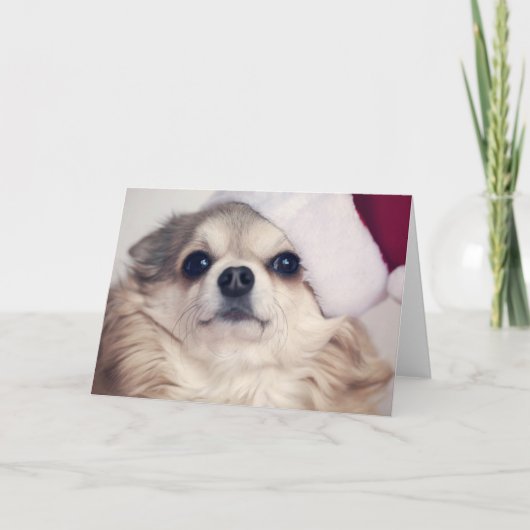 Van een hond Kerstmis juicht toe Feestdagen Kaart (Voorkant)