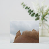 Van een Uitzicht van een paard, oorlogen en nek Briefkaart (Staand voorkant)