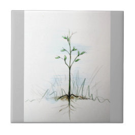 Van één zaadje. . . . tegeltje