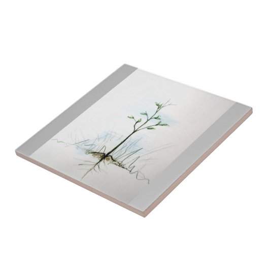 Van één zaadje. . . . tegeltje (Zijkant)